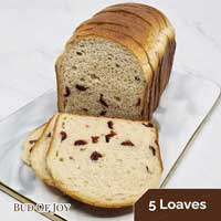 Organic Cranberry Soft Loaf (5x)