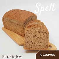 Organic 100% Wholemeal Spelt Bread (Plain) (5x)