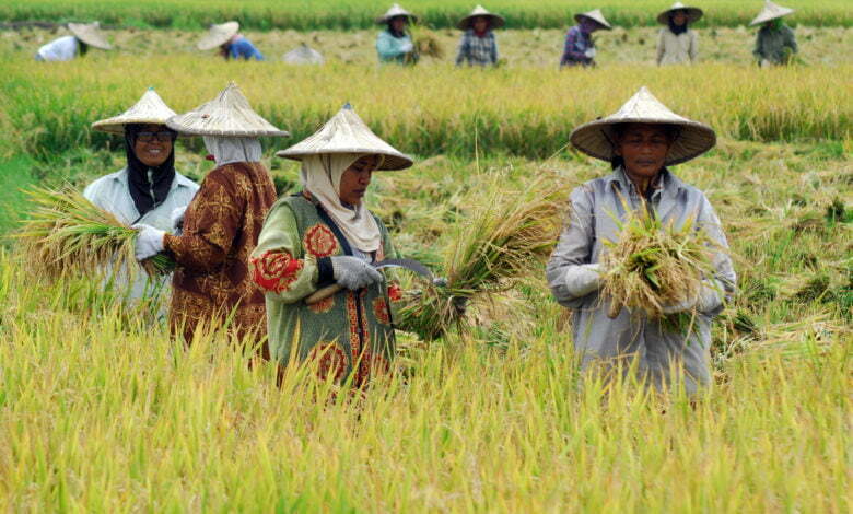 Perbedaan Kebutuhan Manusia