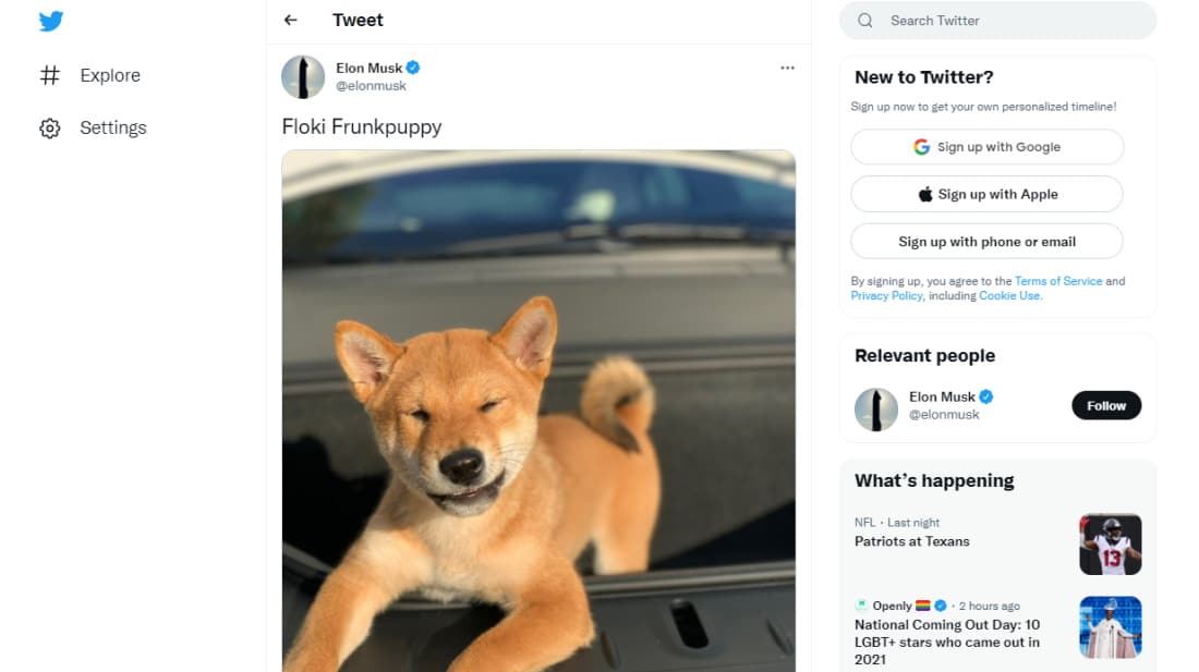 Elon Musk's Tweet of Floki Frunkpupy