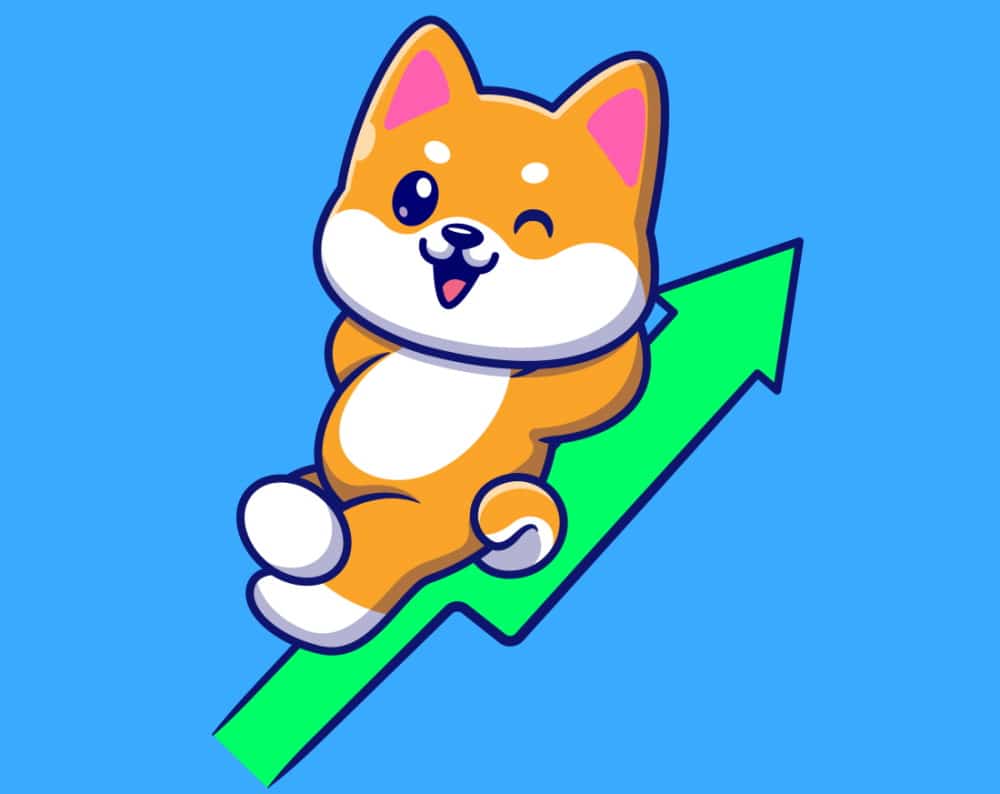 Buy Shiba Inu Coin right now with eToro