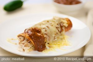 Quick and Easy Cheese Or Chicken Enchiladas