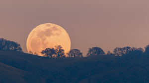 5 Reasons to Look Up at the Moon This Year