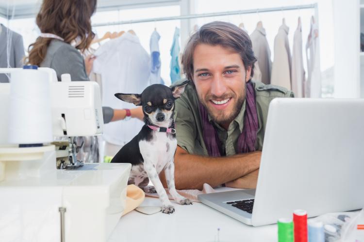 Fashion designer with his chihuahua at work.