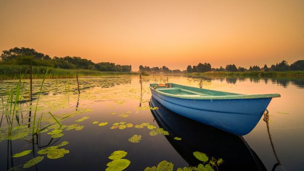 air,langit,menanam,perahu,sumber air,kendaraan