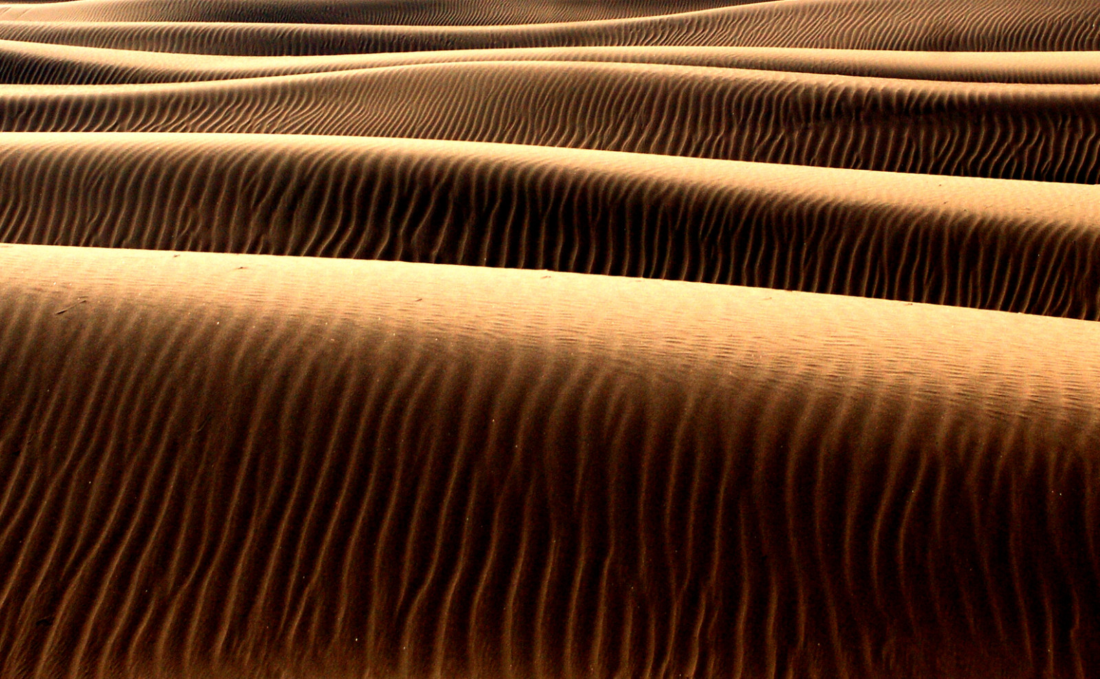 duna, maroc, deserto