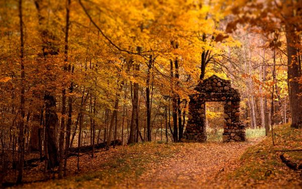 ruins,fall,leaves