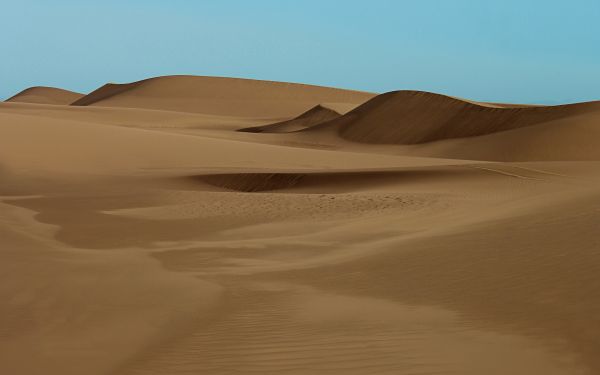 paisaje,arena,Desierto,duna,Sáhara,2560x1600 px