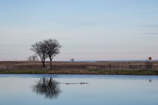 apă,ţărm,reflecţie,iarnă,dimineaţă,lac