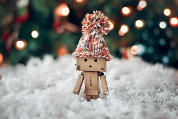 Danbo,invierno