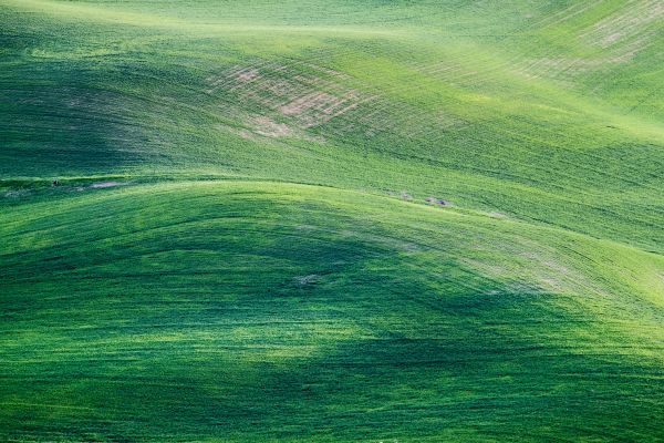 verde,Natural landscape,cuesta abajo,People in nature,césped,pradera