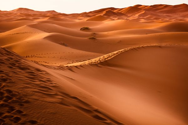 paisaje,arena,Desierto,duna,Marruecos,Sáhara