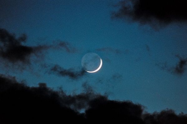 nube,pianta,cielo,atmosfera,Luna,mezzaluna