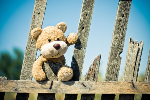 teddy bear,fence,Toy