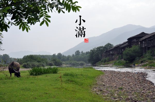 空,山,Natural landscape,高地,木,工場