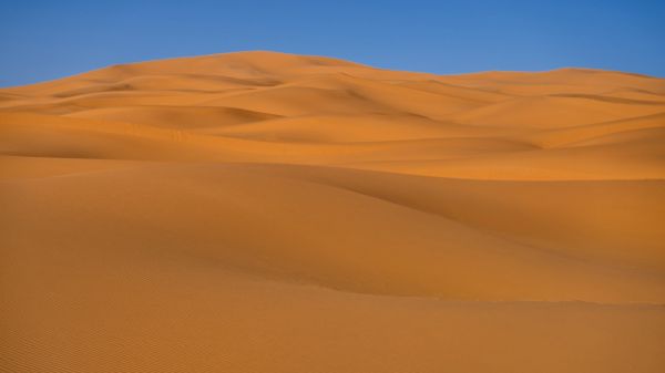 paisaje,arena,Desierto,duna,Sáhara,pradera