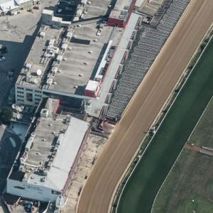 Pimlico Race Track (Birds Eye)