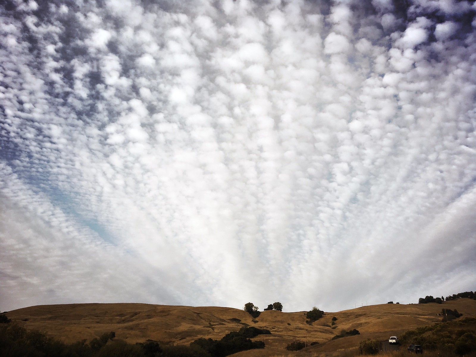 HUGE mackerel skies -- rain's in the forecast... | by lawatt