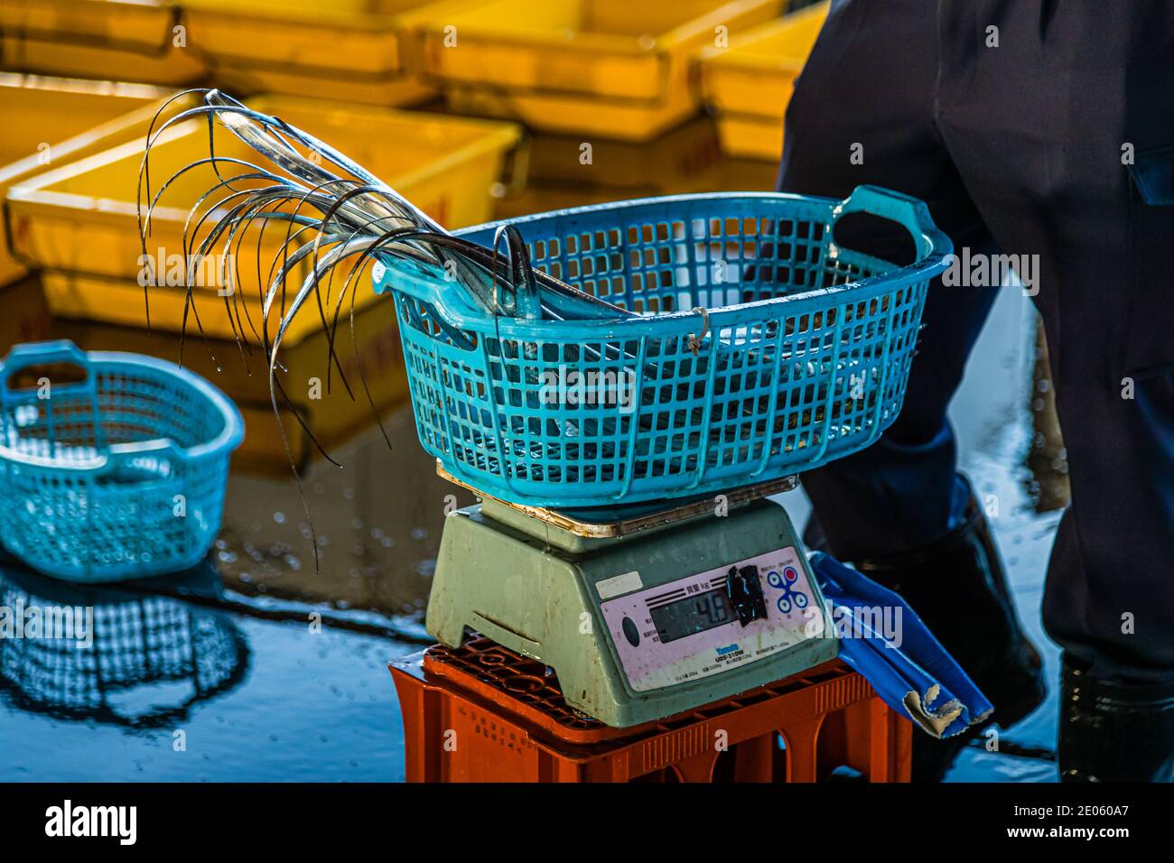 Fish Auction in Yaidu, Japan Stock Photo