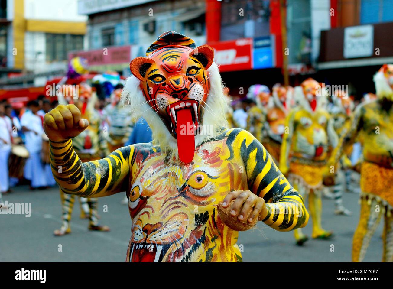 tigerdance Stock Photo