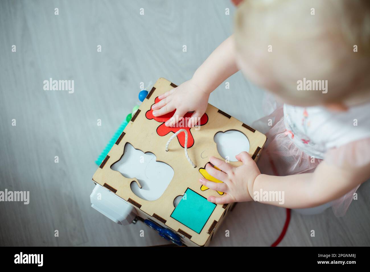 A cat, a bear, a circle, a star figure in a wooden sorter. The child correctly selected the uniforms for toys to develop the practical skills of races Stock Photo