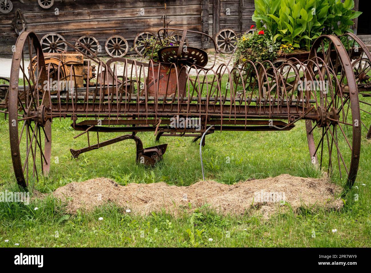 Old rusty rake for hay Stock Photo