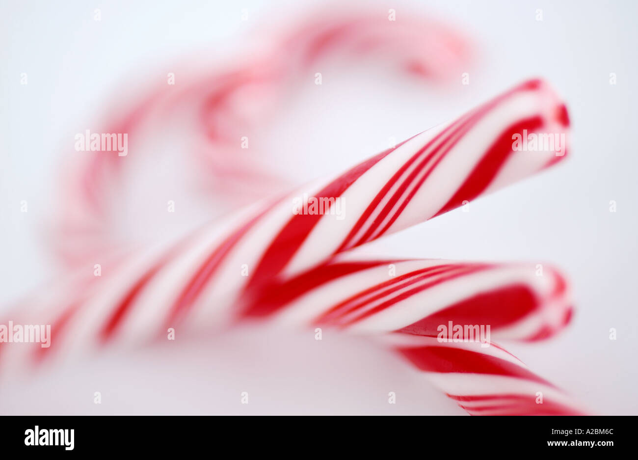 Candy Canes Stock Photo