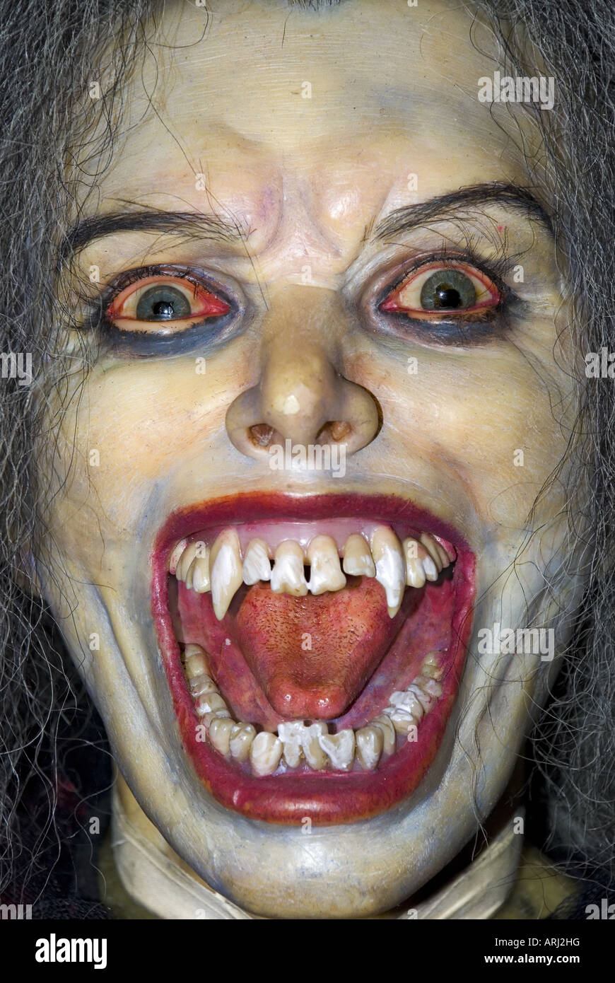 The face of the vampire Stock Photo