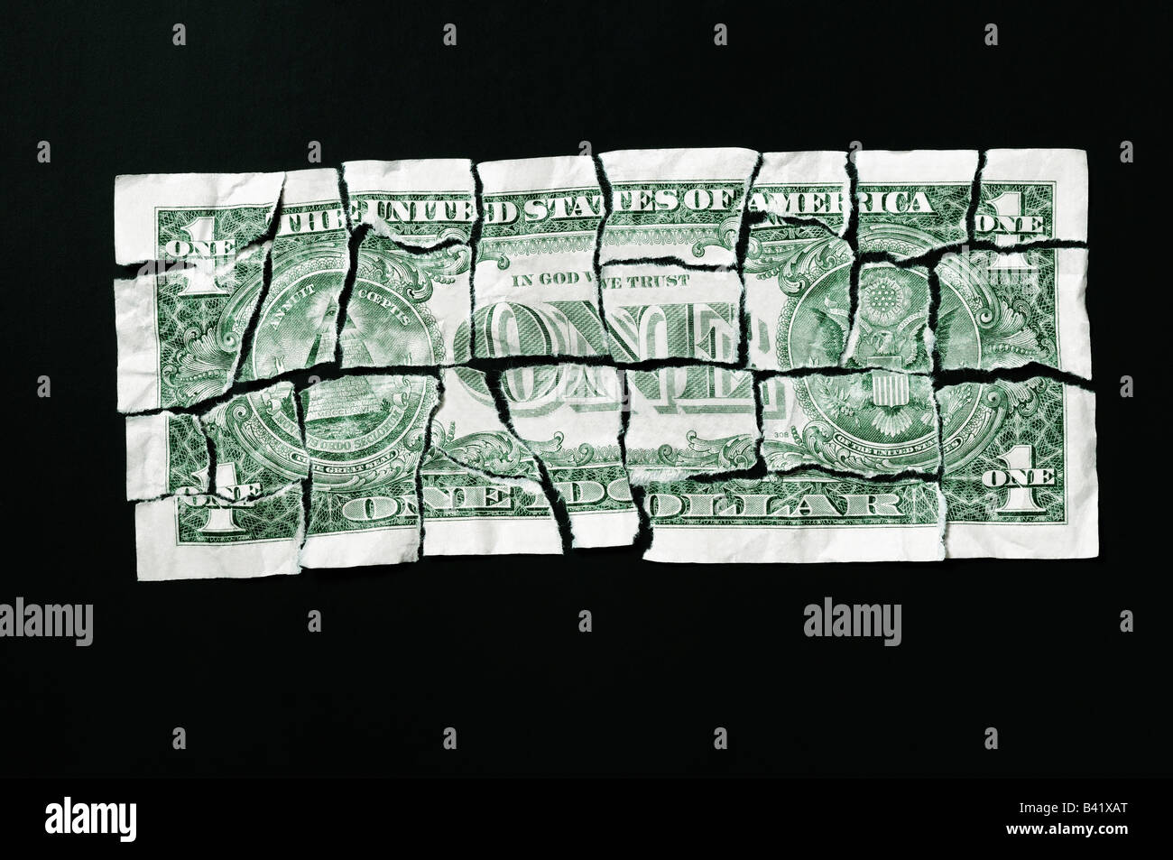 Torn Dollar Bill Close Up Stock Photo