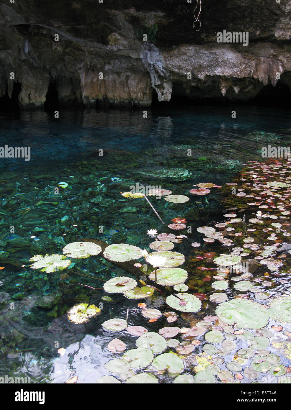 Gran Cenote Mexico Stock Photo