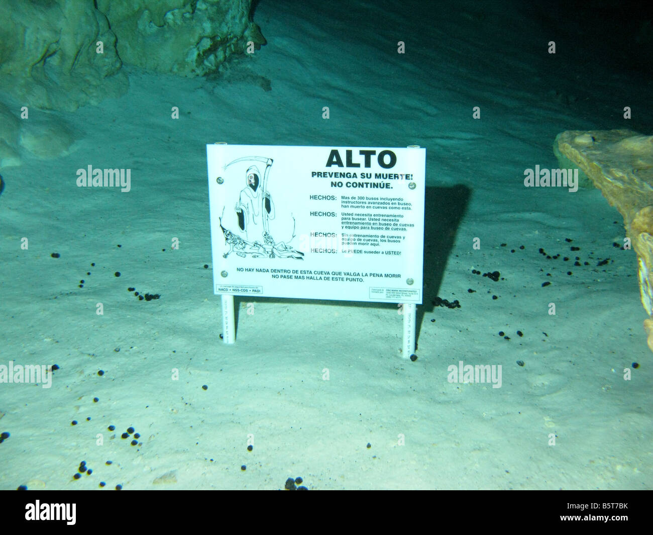 Warning sign in cenote Stock Photo