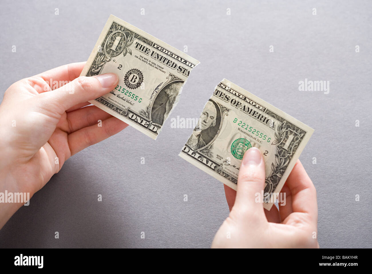 Torn dollar bill Stock Photo