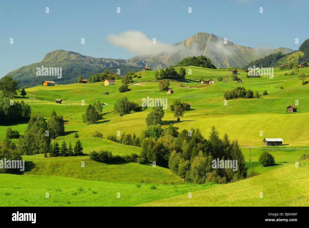 Fiss Alm - Fiss alp pasture 07 Stock Photo