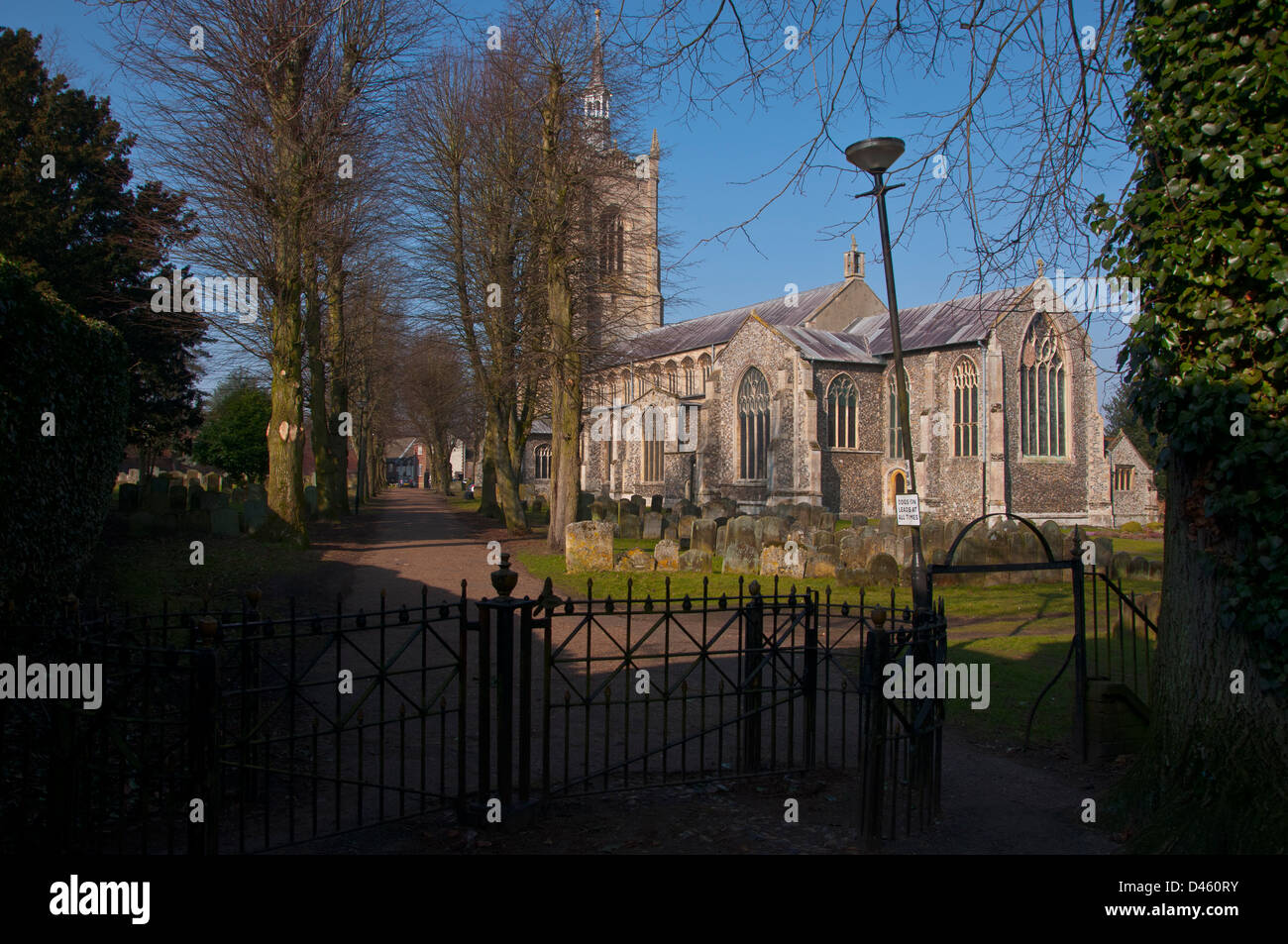 Swaffham Church Norfolk Stock Photo