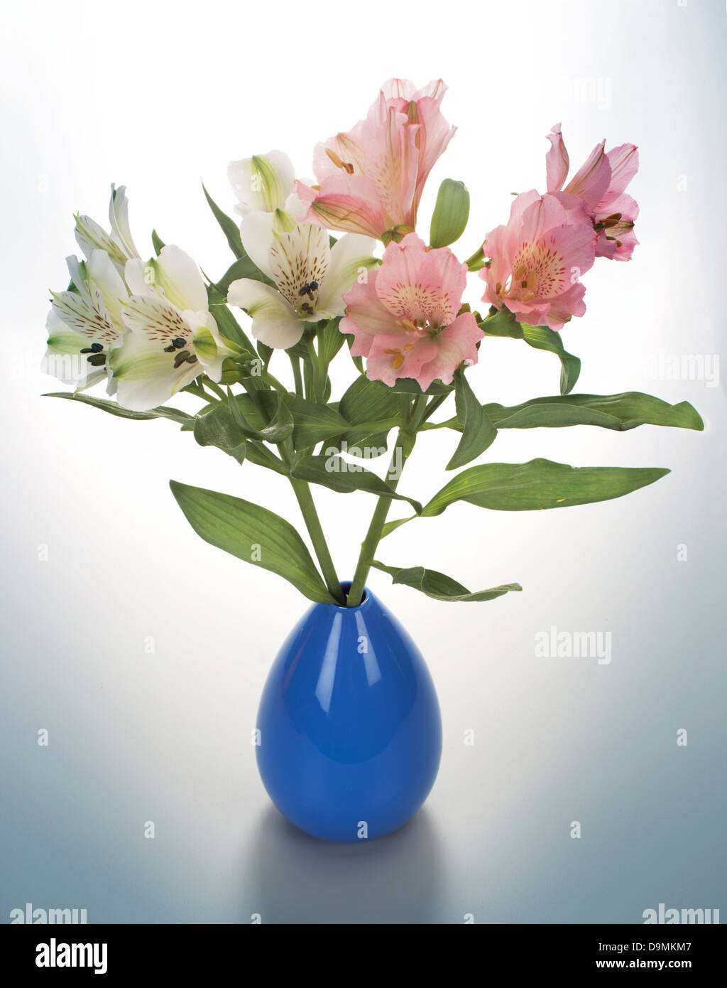 flowers in vase Stock Photo