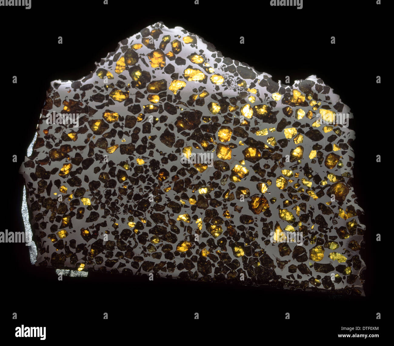 Pallasite slab Stock Photo