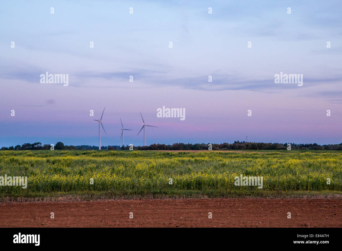 Wind turbines at sunset Stock Photo