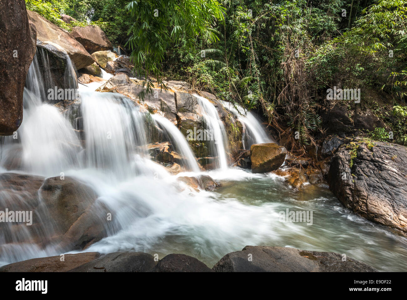 Deep forest Waterfall Stock Photo