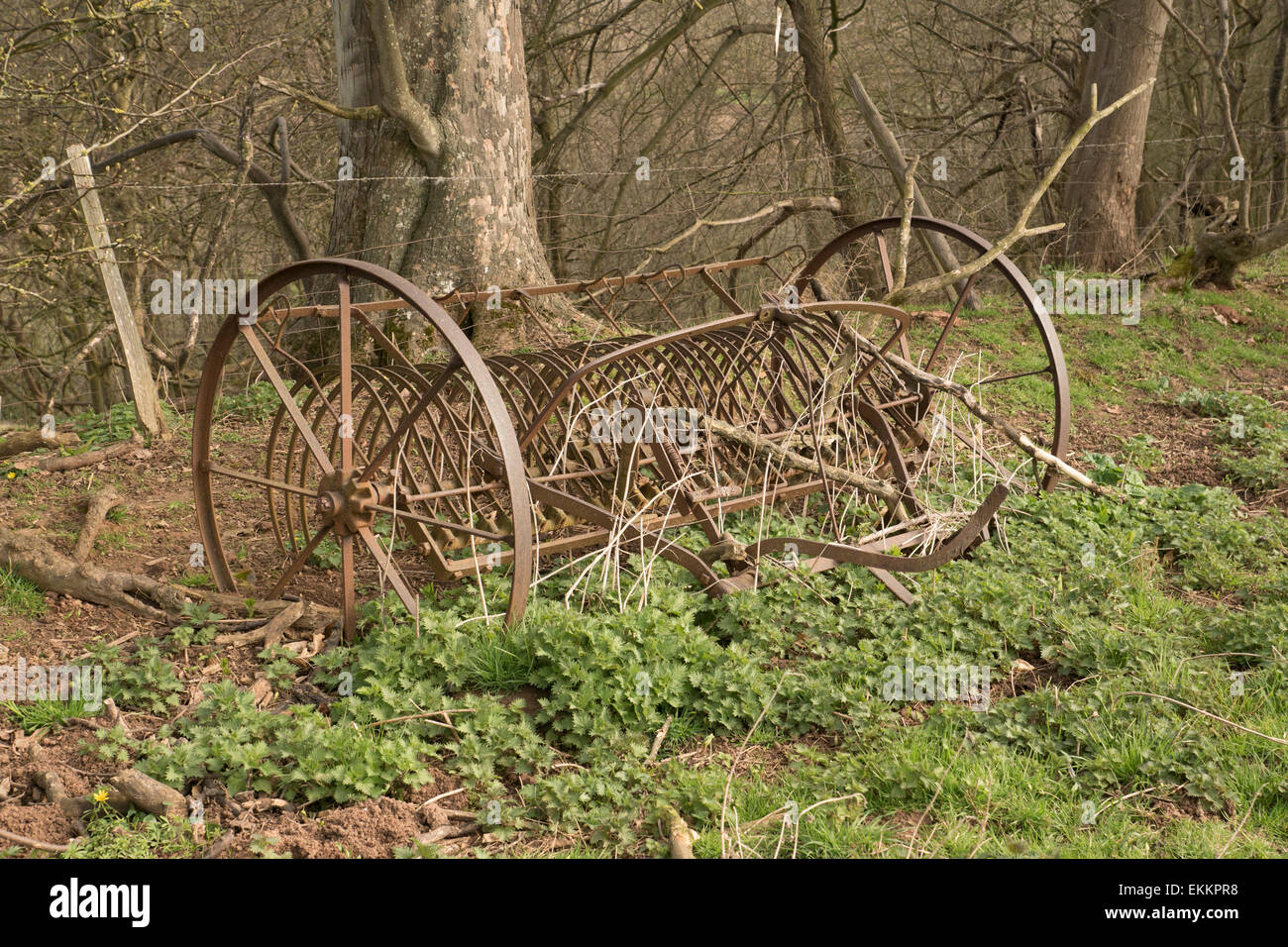 Hay rake. Stock Photo