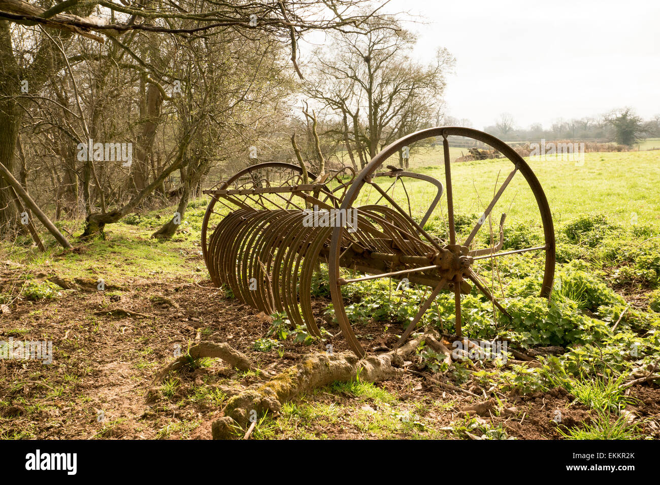 Hay rake. Stock Photo