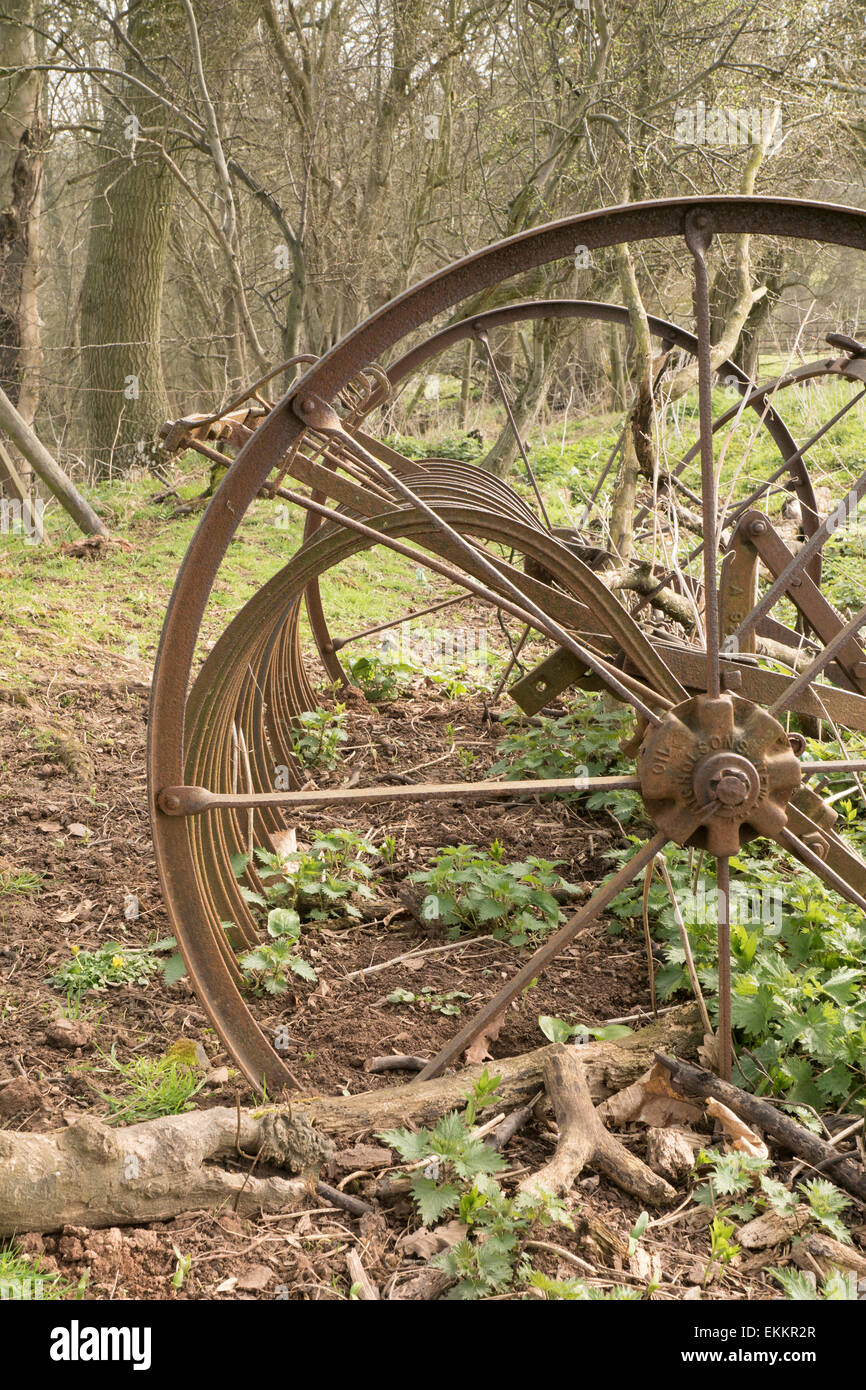 Hay rake. Stock Photo