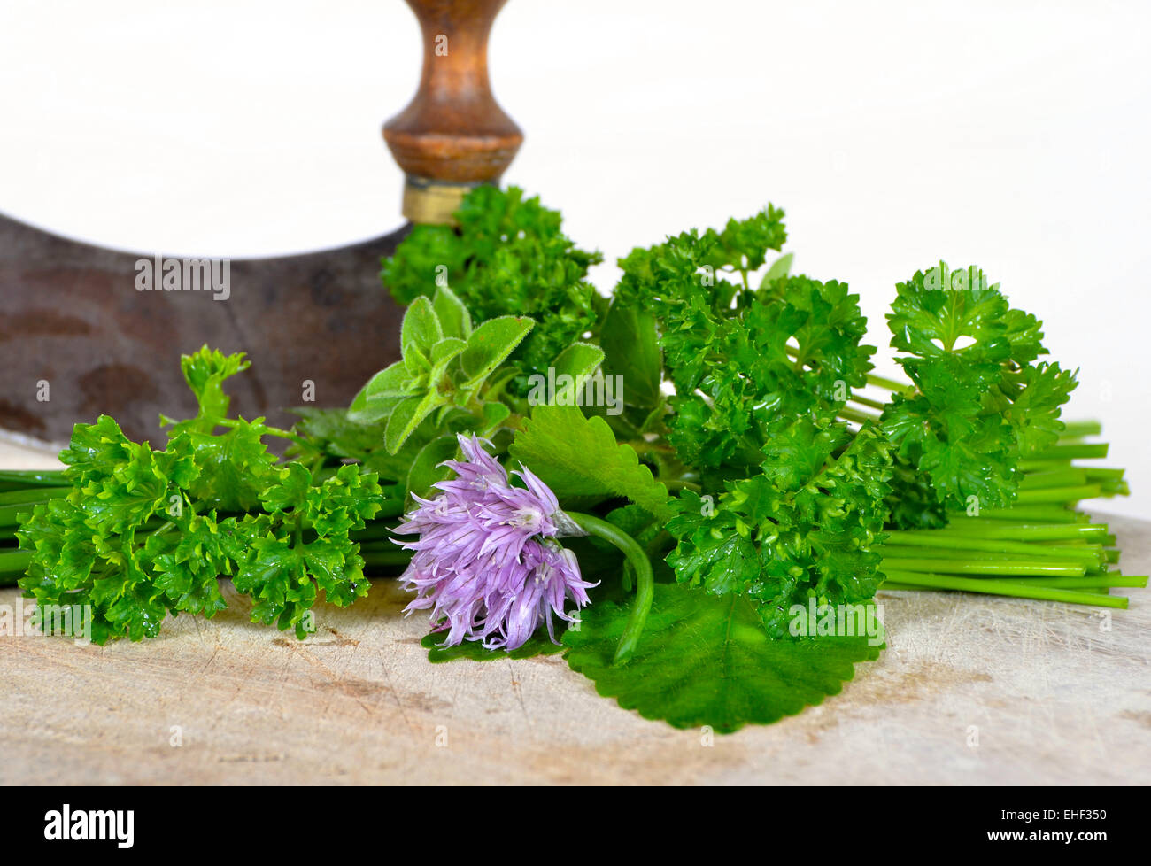 Table garden herbs Stock Photo