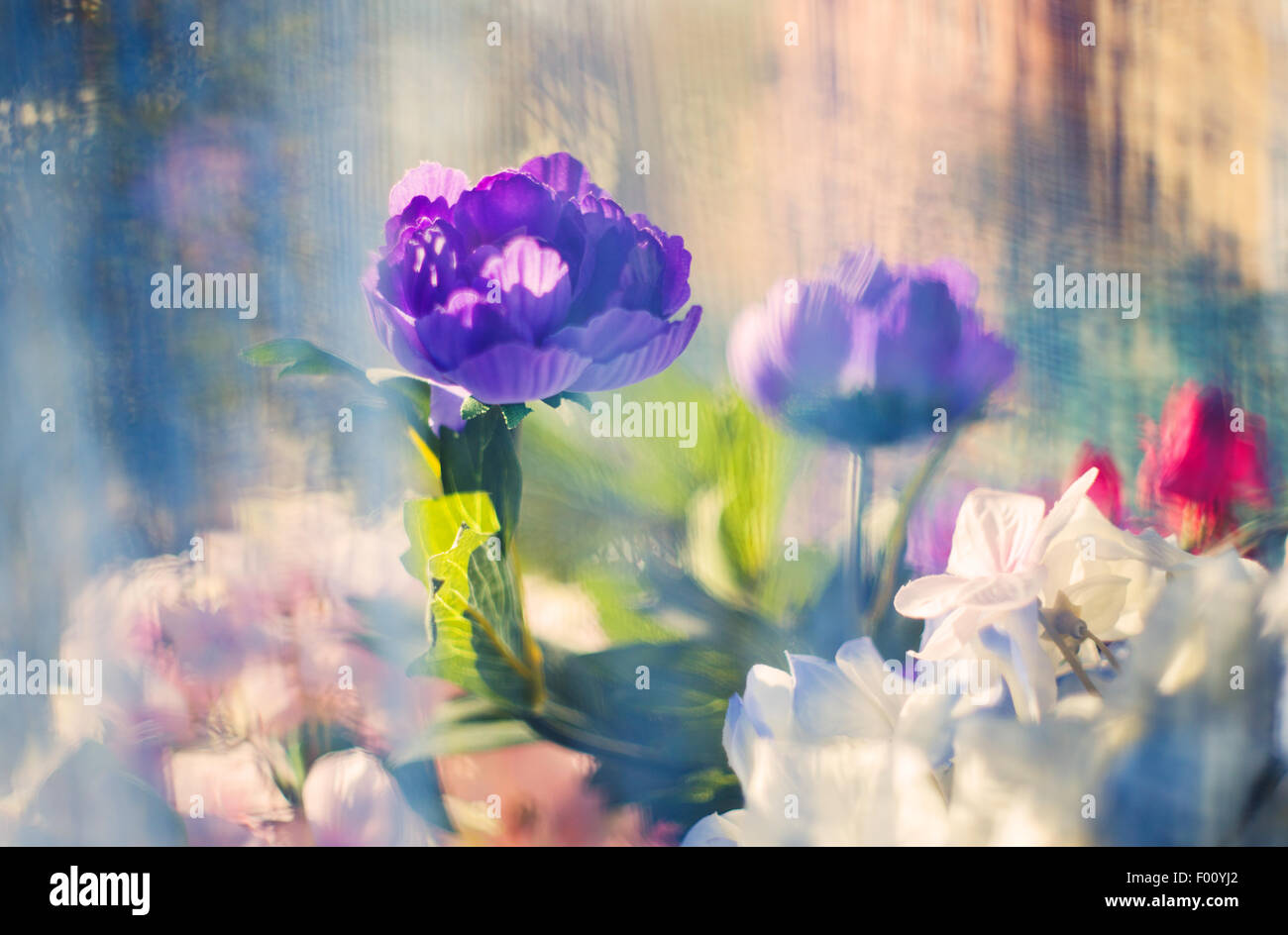 Abstract flower background Stock Photo