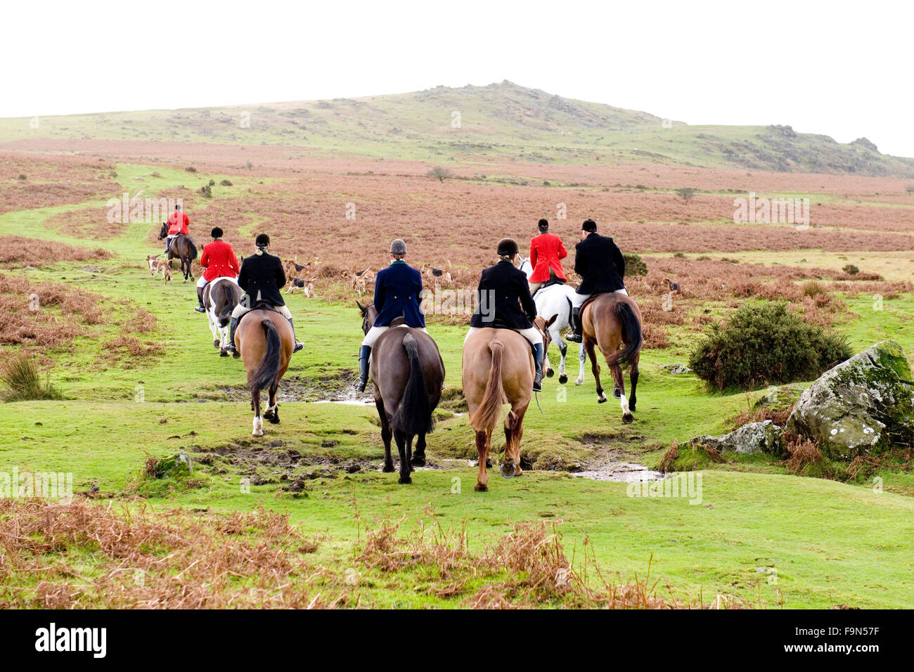 Fox hunt setting off Stock Photo