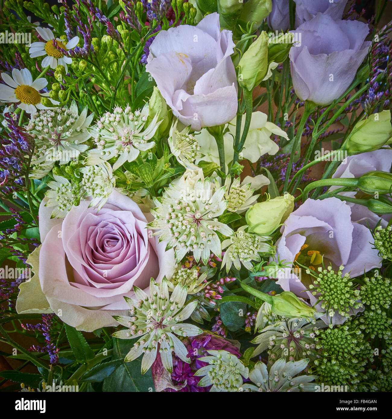 Cut flowers close up Stock Photo