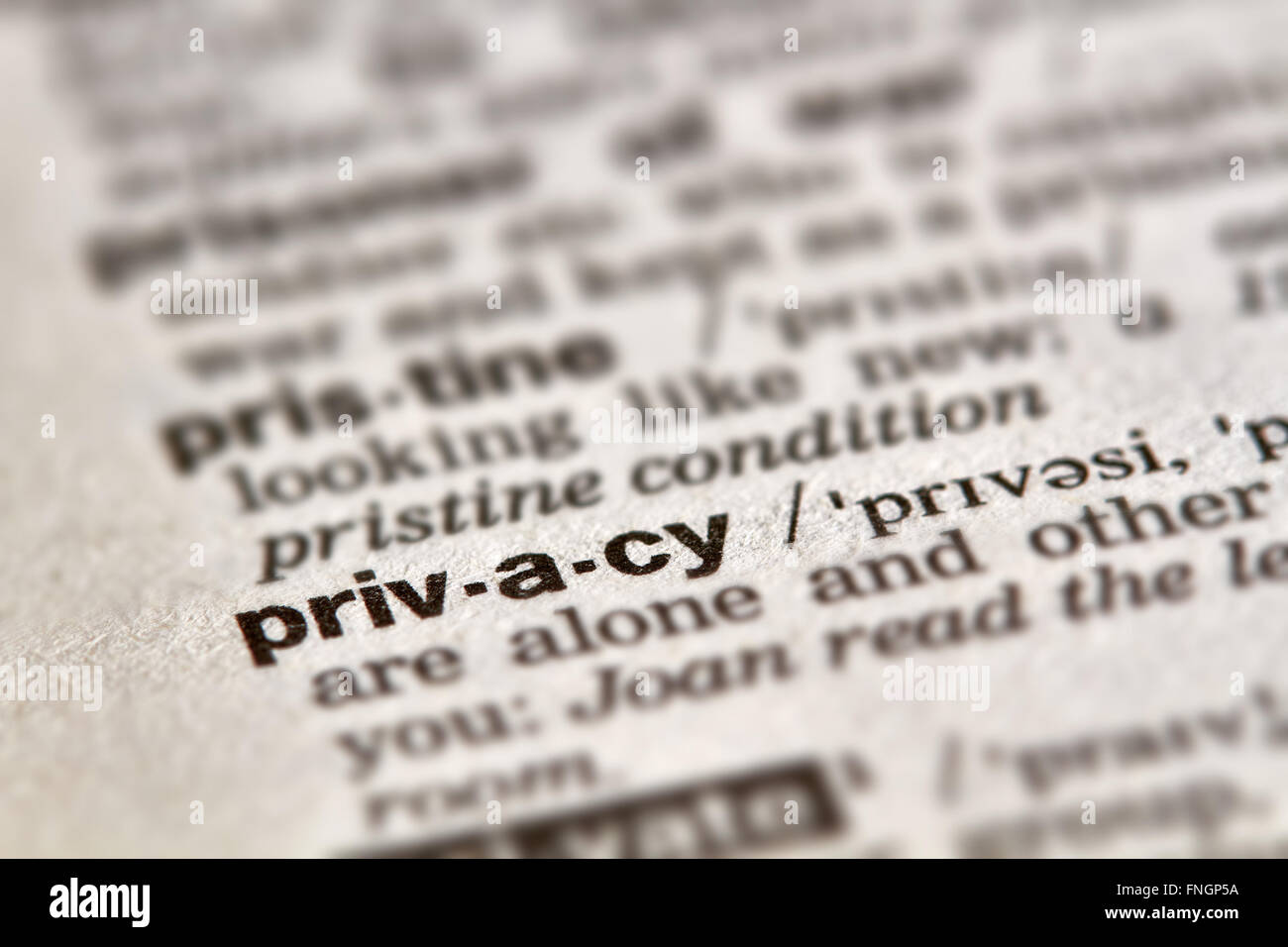 Privacy Word Definition Text in Dictionary Page Stock Photo