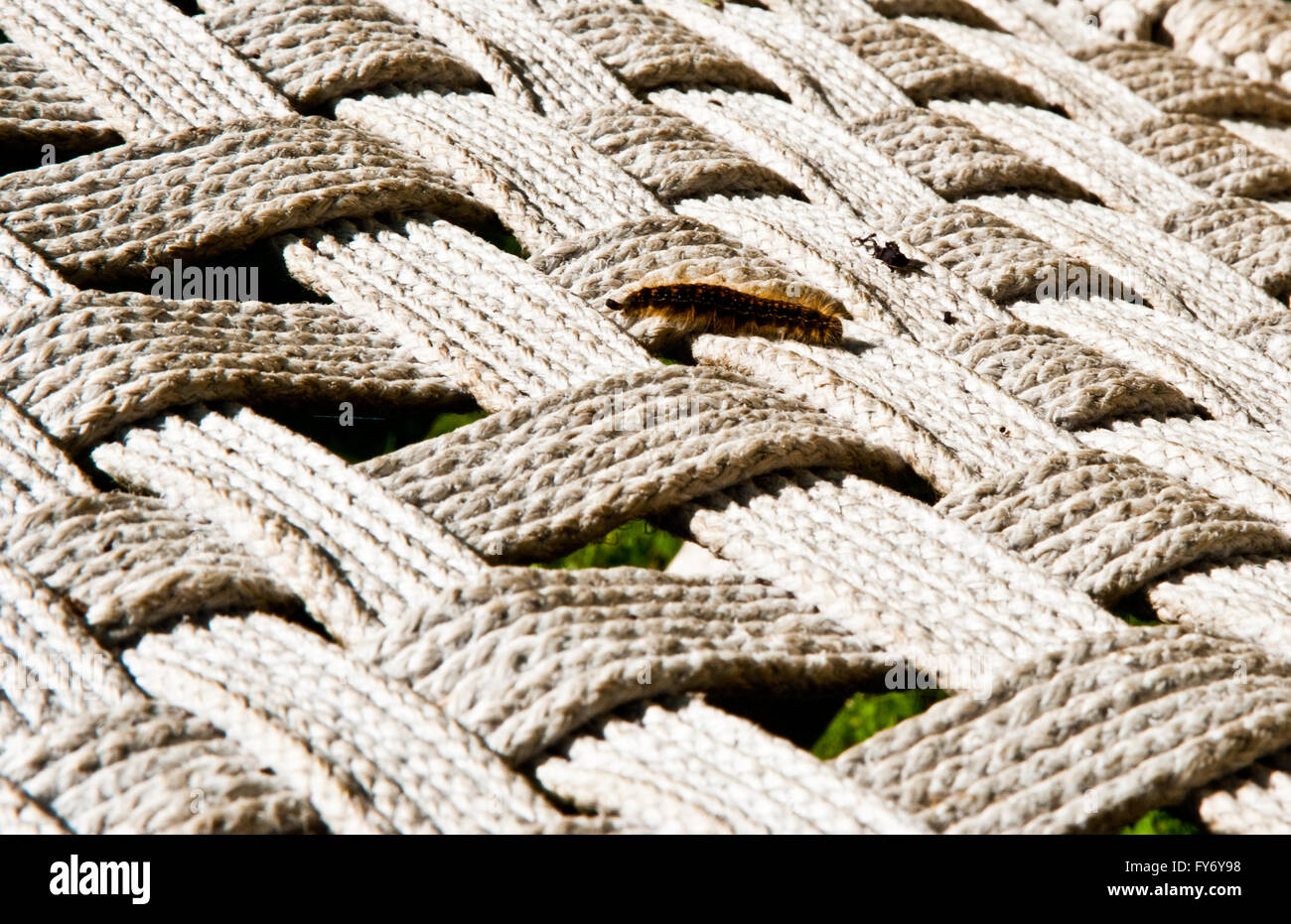 Caterpillar on a woven chair Stock Photo