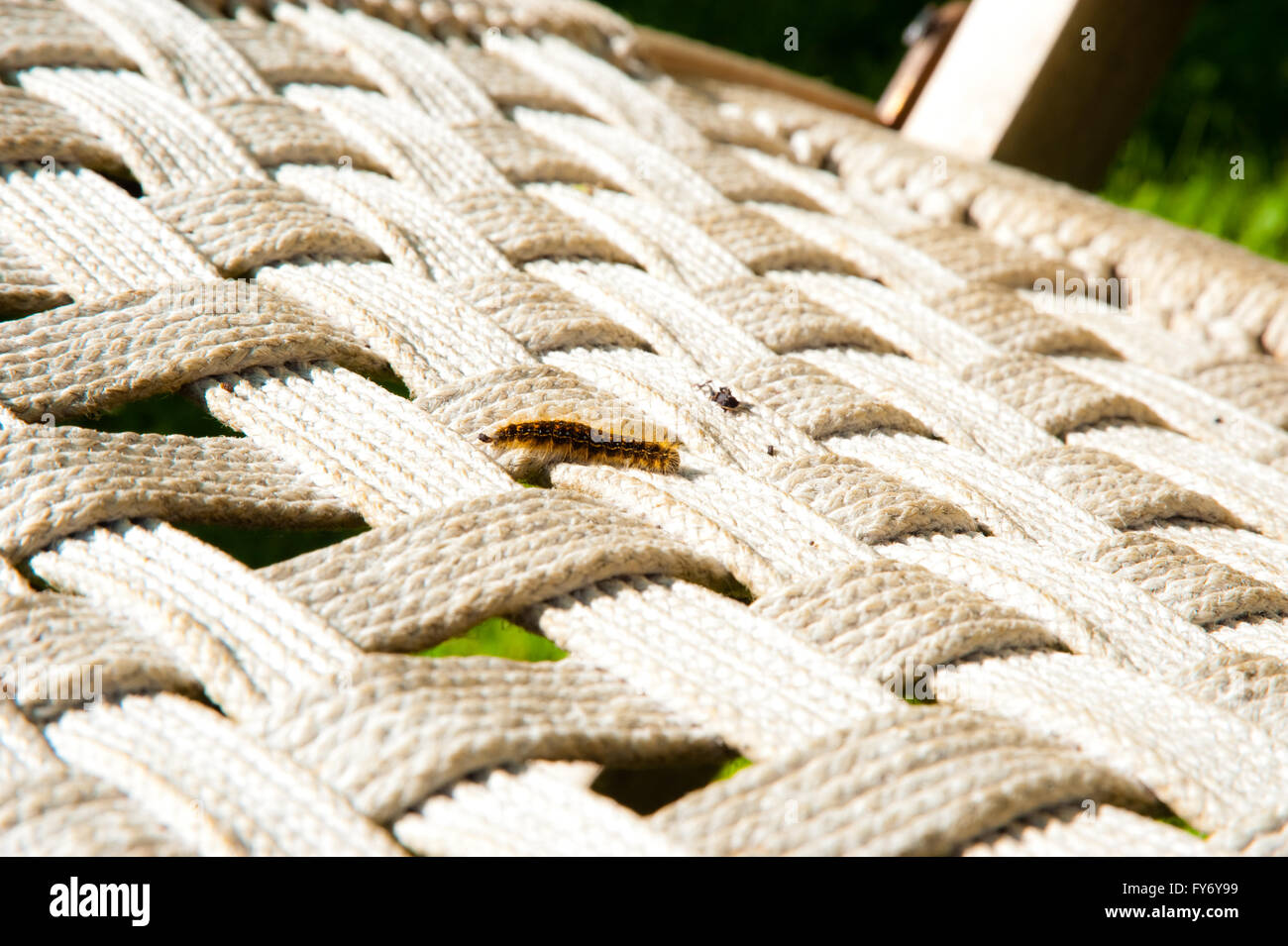 Caterpillar on a woven chair Stock Photo