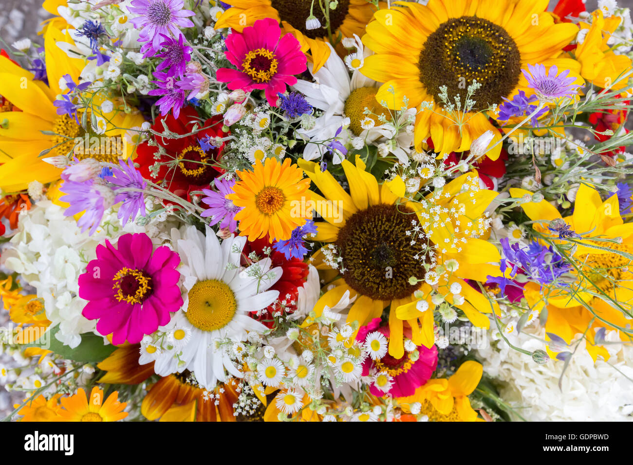 close up of bouquet of flowers. Stock Photo