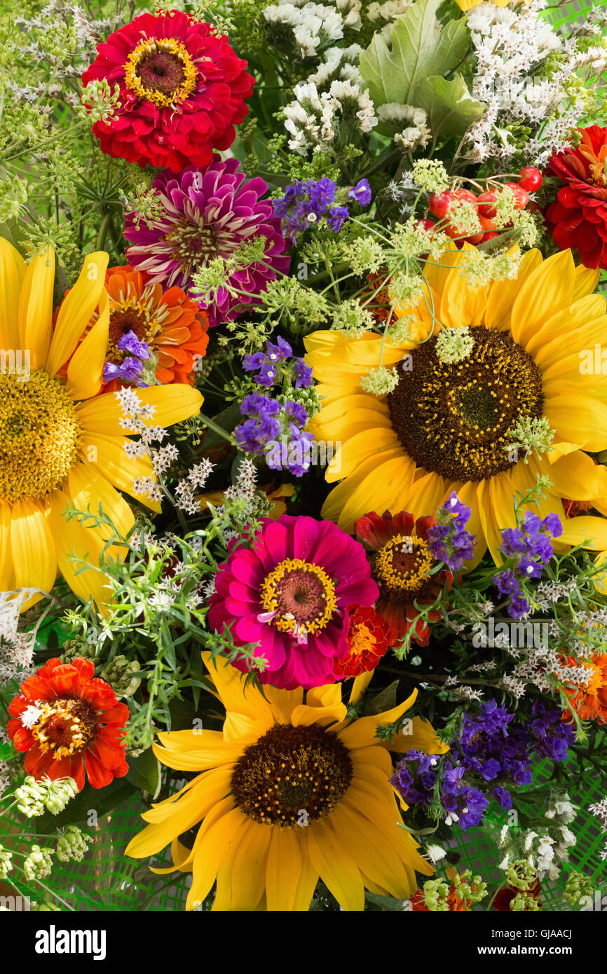 close up of colorful flowers. Stock Photo